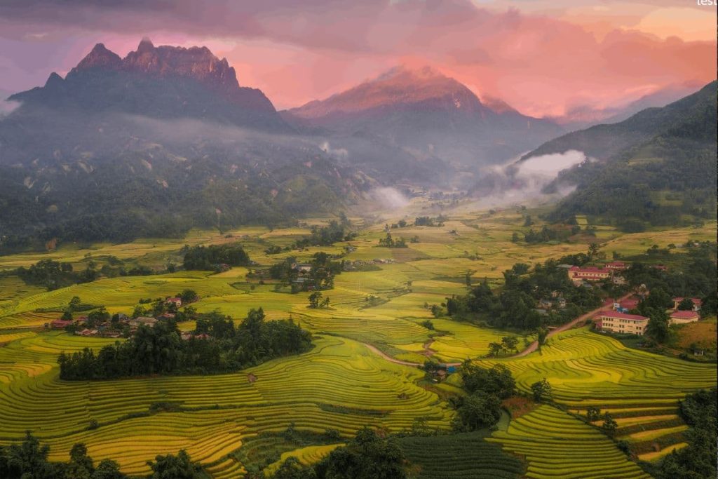 rizière chine